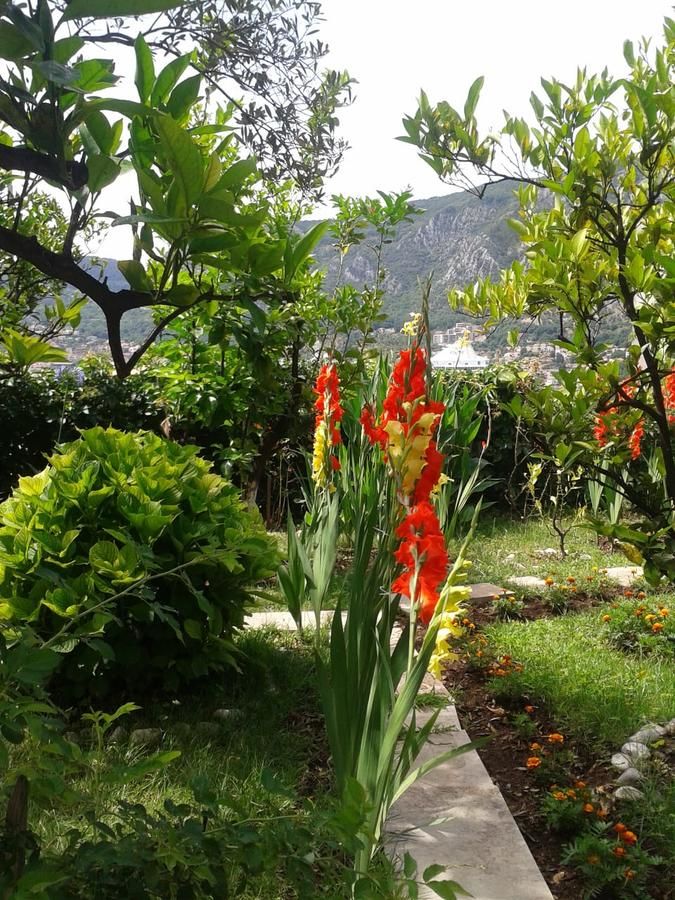 Апартаменты Kotor Kelly Apartments Котор-7