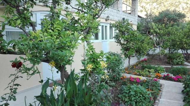 Апартаменты Kotor Kelly Apartments Котор-47